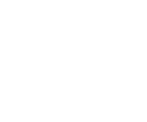Vserlo | Official Website of the Albanian Singer Logo